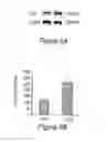 Fig. 08 - Methods and compositions for obtaining and using biologically active multi-protein complexes