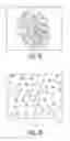 Fig. 07 - Programmable illumination pattern for transporting microparticles