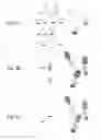 Fig. 10 - Detection of nucleic acids from whole