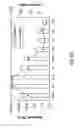 Fig. 15 - Detection of nucleic acids from whole