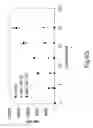 Fig. 17 - Detection of nucleic acids from whole