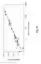 Fig. 19 - Detection of nucleic acids from whole
