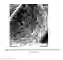Fig. 04 - Self-toughened high-strength proppant and methods of making same