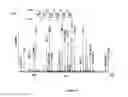 Fig. 06 - Human milk peptides