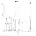 Fig. 08 - Human milk peptides