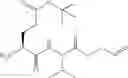 Fig. 286 - Selective caspase inhibitors and uses thereof