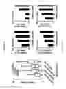 Fig. 09 - Trimethylamine-containing compounds for diagnosis and prediction of disease