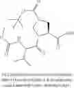 Fig. 749 - Antiviral compounds