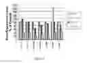 Fig. 03 - Galactose-pronged polysaccharides in a formulation for antifibrotic therapies