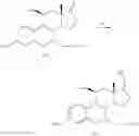 Fig. 06 - 17Beta-Alkyl-17Alpha-oxy-estratrienes