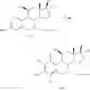 Fig. 08 - 17Beta-Alkyl-17Alpha-oxy-estratrienes