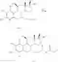 Fig. 10 - 17Beta-Alkyl-17Alpha-oxy-estratrienes