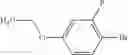Fig. 477 - Compounds, pharmaceutical compositions and uses thereof