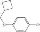Fig. 587 - Compounds, pharmaceutical compositions and uses thereof