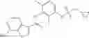 Fig. 129 - RAF INHIBITOR COMPOUNDS AND METHODS OF USE THEREOF