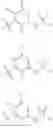 Fig. 09 - RAF INHIBITOR COMPOUNDS AND METHODS OF USE THEREOF