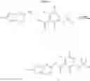 Fig. 12 - RAF INHIBITOR COMPOUNDS AND METHODS OF USE THEREOF