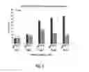 Fig. 06 - Compounds And Compositions For Treating Cancer