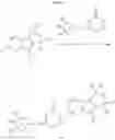Fig. 27 - Tetrahydro-azacarboline MCH-1 antagonists, methods of making, and uses thereof