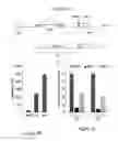 Fig. 02 - Methods of identifying and using general or alternative splicing inhibitors