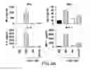 Fig. 05 - JAK INHIBITION BLOCKS RNA INTERFERENCE ASSOCIATED TOXICITIES