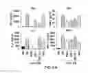 Fig. 09 - JAK INHIBITION BLOCKS RNA INTERFERENCE ASSOCIATED TOXICITIES