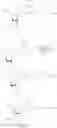 Fig. 167 - 5′ phosphate mimics