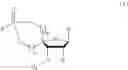 Fig. 28 - 5′ phosphate mimics