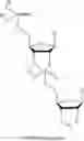 Fig. 33 - 5′ phosphate mimics