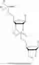Fig. 35 - 5′ phosphate mimics