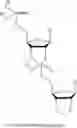 Fig. 37 - 5′ phosphate mimics
