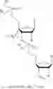 Fig. 40 - 5′ phosphate mimics