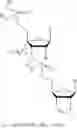 Fig. 41 - 5′ phosphate mimics
