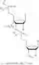 Fig. 44 - 5′ phosphate mimics