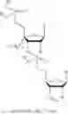 Fig. 45 - 5′ phosphate mimics