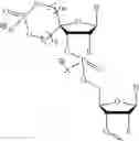 Fig. 49 - 5′ phosphate mimics