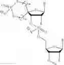 Fig. 52 - 5′ phosphate mimics