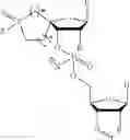 Fig. 63 - 5′ phosphate mimics