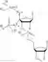 Fig. 67 - 5′ phosphate mimics