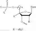 Fig. 68 - 5′ phosphate mimics