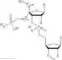 Fig. 69 - 5′ phosphate mimics