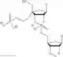 Fig. 71 - 5′ phosphate mimics