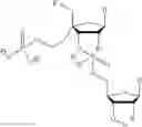 Fig. 72 - 5′ phosphate mimics