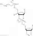 Fig. 74 - 5′ phosphate mimics