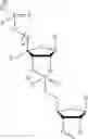 Fig. 80 - 5′ phosphate mimics