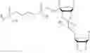 Fig. 83 - 5′ phosphate mimics