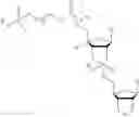 Fig. 86 - 5′ phosphate mimics