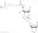 Fig. 92 - 5′ phosphate mimics