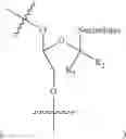 Fig. 97 - 5′ phosphate mimics