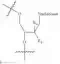 Fig. 98 - 5′ phosphate mimics